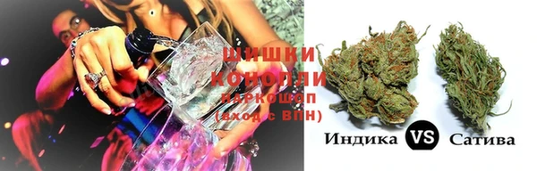 ECSTASY Алзамай