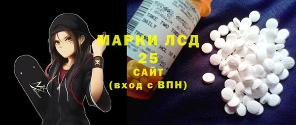 ECSTASY Алзамай