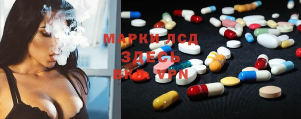ECSTASY Алзамай