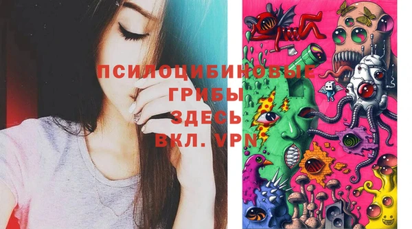 ECSTASY Алзамай