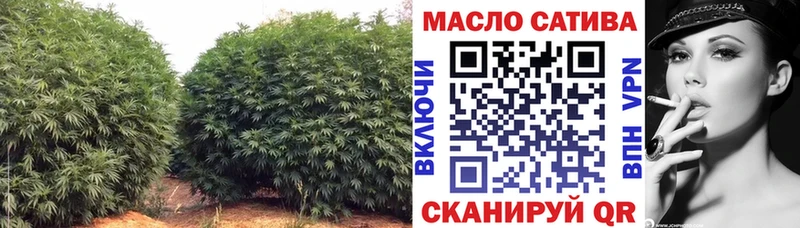 где купить наркоту  mega как войти  Дистиллят ТГК THC oil  Елец 